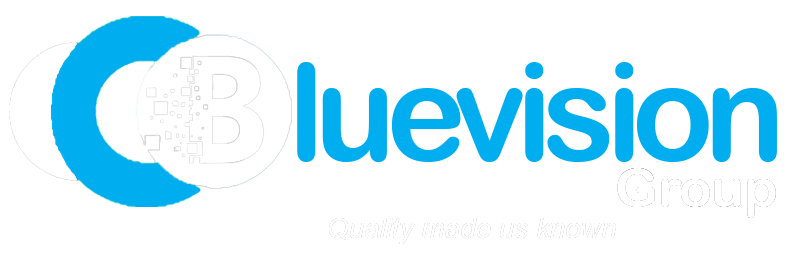 bluevision logo